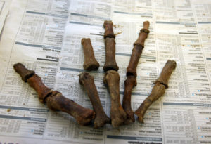 Restos óseos hallados en una de la exhumaciones de la ARMH. / C. Sánchez